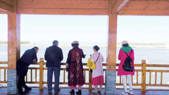 湟魚洄游奇觀吸引游人。