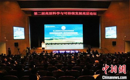 圖為論壇現(xiàn)場。　孫?！z