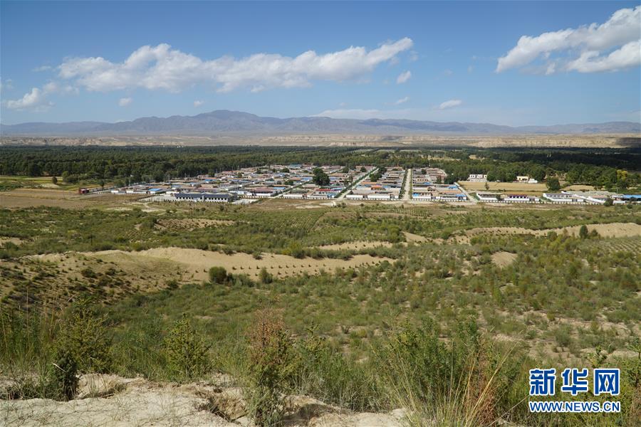 （決戰(zhàn)決勝脫貧攻堅·圖文互動）（2）高原鄉(xiāng)鎮(zhèn)沙珠玉 治沙斗貧成“綠?！薄嗪Ｊ」埠涂h沙珠玉鄉(xiāng)采訪見聞