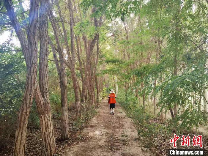 戈壁灘上的護(hù)林員：以前風(fēng)吹睜不開眼，現(xiàn)在滿眼皆綠色