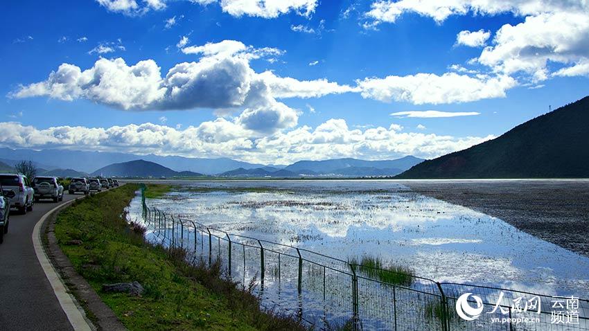 納帕海濕地。呂昊辰攝
