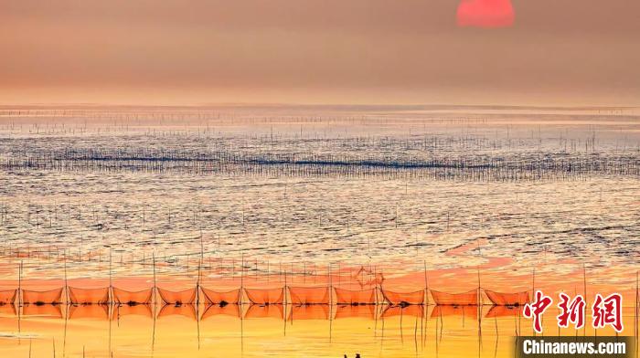 江蘇鹽城被譽為金灘銀蕩、魚米之鄉(xiāng)?！←}城市委宣傳部供圖