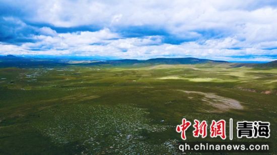 圖為長(zhǎng)江南源沼澤濕地。李江寧攝