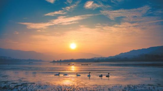 黃河冬之晨。