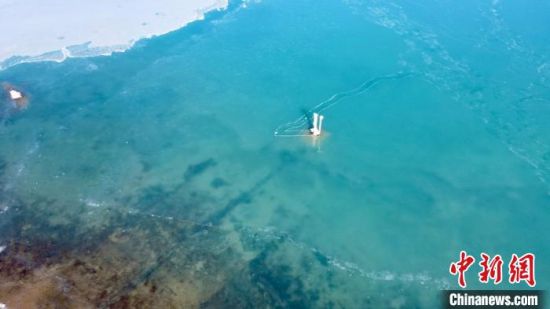 圖為冬日青海湖。　李江寧　攝