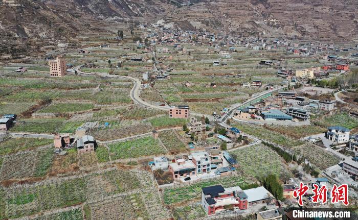 潔白的李花與村寨交相輝映，勾勒出一幅美麗的和諧生態(tài)畫卷?！『吻搴?攝