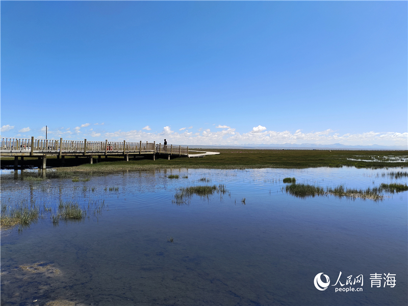   青海湖仙女灣。人民網(wǎng) 張莉萍攝
