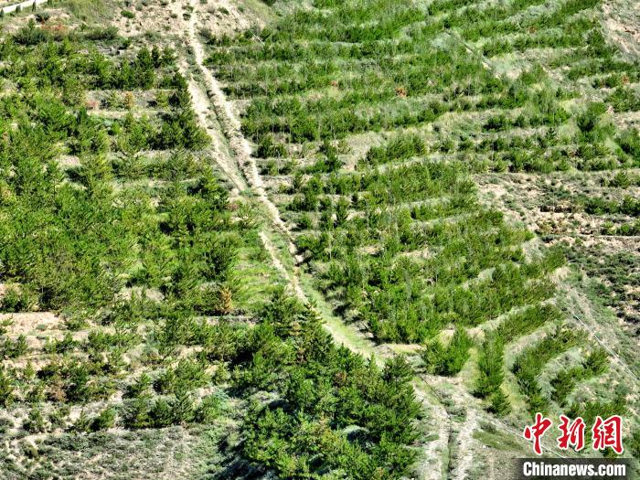 航拍建行青海省分行綠化區(qū)?！∑钤鲚?攝