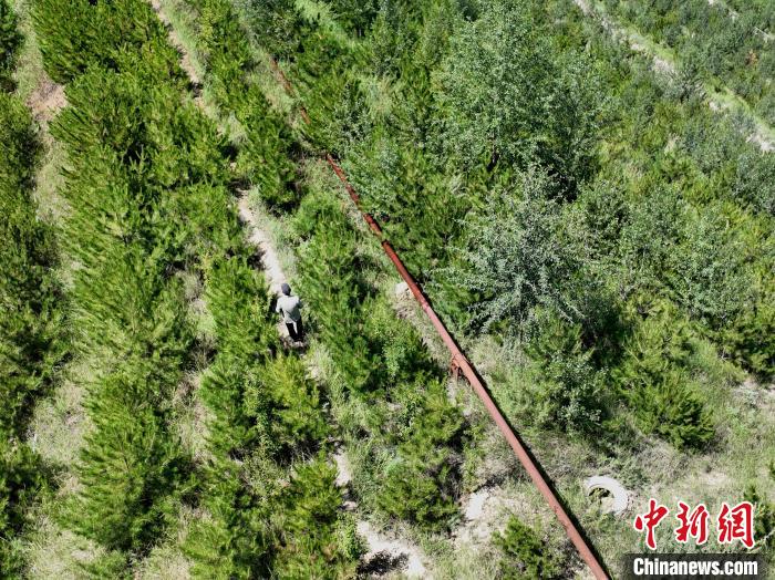 航拍建行青海省分行綠化區(qū)施工隊(duì)隊(duì)長盧占祥正在巡護(hù)綠化區(qū)?！∑钤鲚?攝