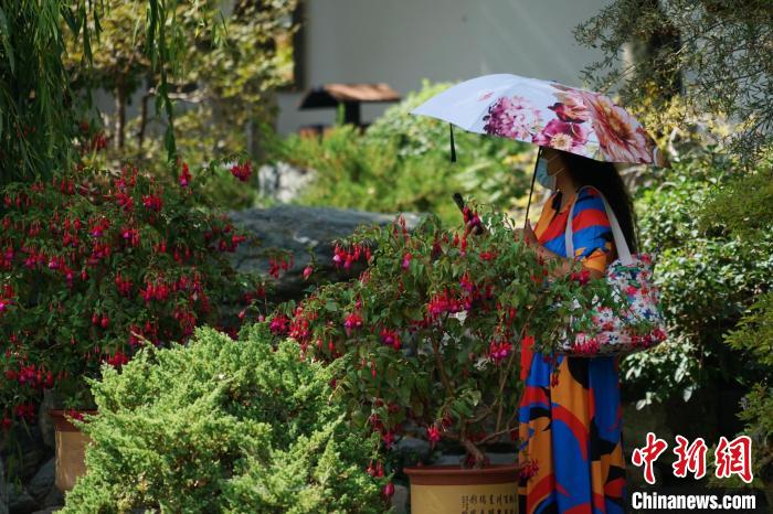 圖為市民在西寧園林植物園內(nèi)賞花拍照?！●R銘言 攝