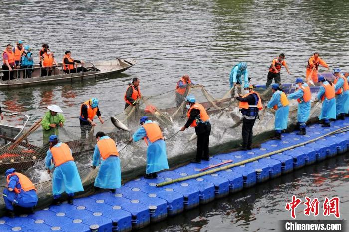 捕撈現(xiàn)場(chǎng)?！≈鬓k方供圖