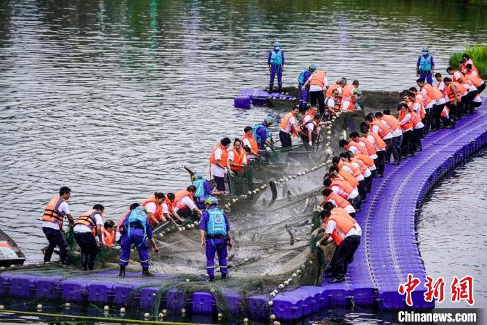 捕撈現(xiàn)場(chǎng)?！≈鬓k方供圖