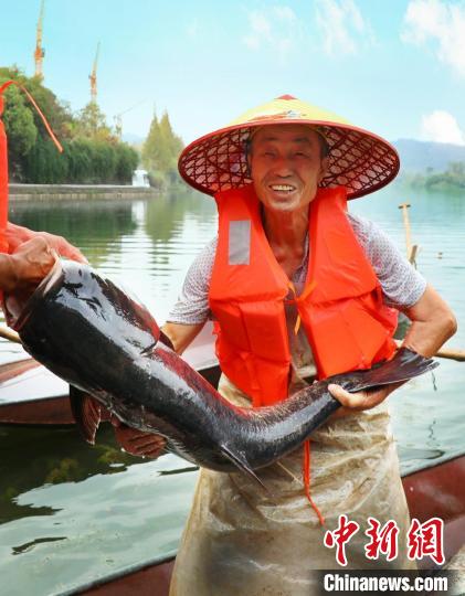 工作人員展示捕撈成果?！≈鬓k方供圖