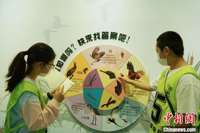 圖為小朋友在青海西寧湟水國家濕地公園科普館內(nèi)參觀學(xué)習(xí)?！●R銘言 攝
