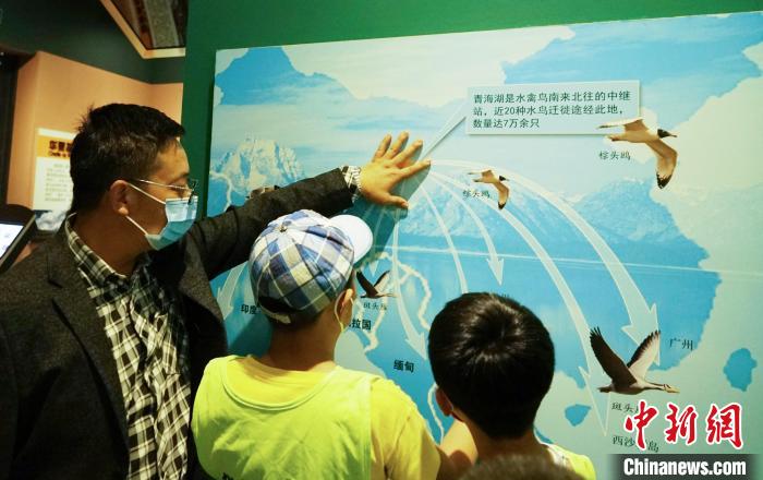 圖為小朋友在青海西寧湟水國家濕地公園科普館內(nèi)參觀學(xué)習(xí)?！●R銘言 攝