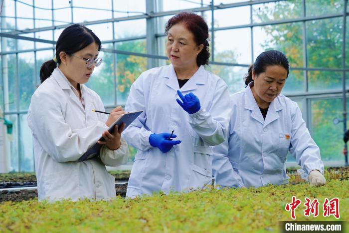 圖為張錦梅(中)與同事在討論數(shù)據。馬銘言 攝