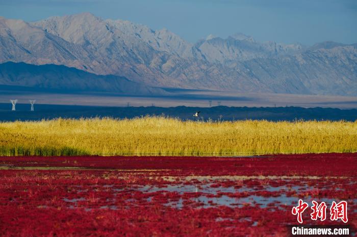 圖為柴達(dá)木盆地可魯克湖?！」?攝