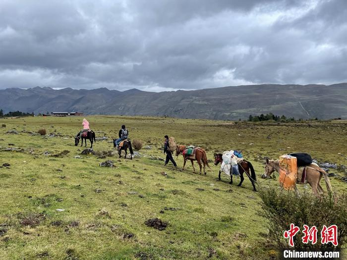 圖為9月26日游客騎馬領(lǐng)略尼汝村高原牧場(chǎng)風(fēng)光。 <a target='_blank' href='/'><p  align=