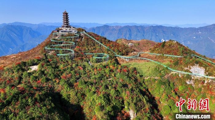 巴山大峽谷彩林迎來(lái)最佳觀賞期?！∫κ?攝