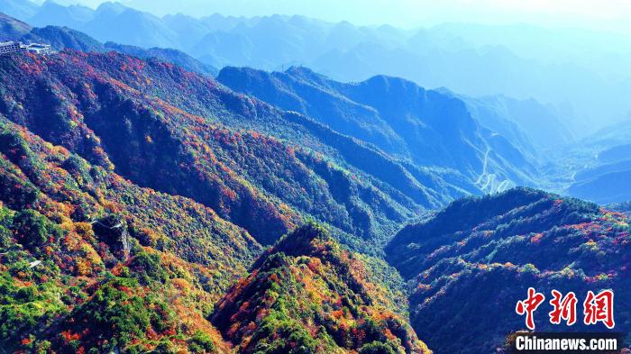 巴山大峽谷彩林迎來(lái)最佳觀賞期?！埰?攝