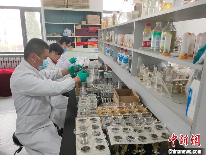 資料圖為研究團隊進行樣本檢查?！?青海省畜牧獸醫(yī)科學(xué)院供圖