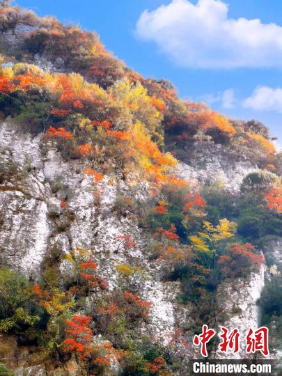 彩林色彩斑斕?！≈炱桨?攝