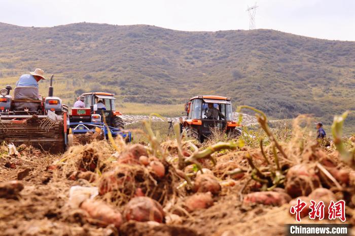 青海東部農(nóng)業(yè)區(qū)：“一分川、一分水、八分山”里“刨金記”