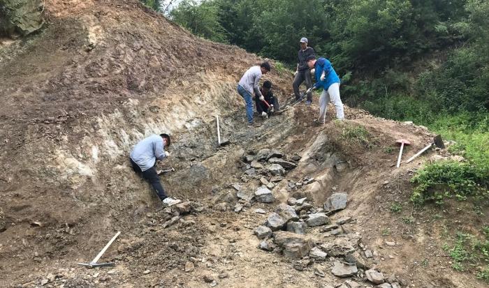 2018年玉海翼角魚(yú)野外發(fā)掘采集現(xiàn)場(chǎng)。　蓋志琨 攝