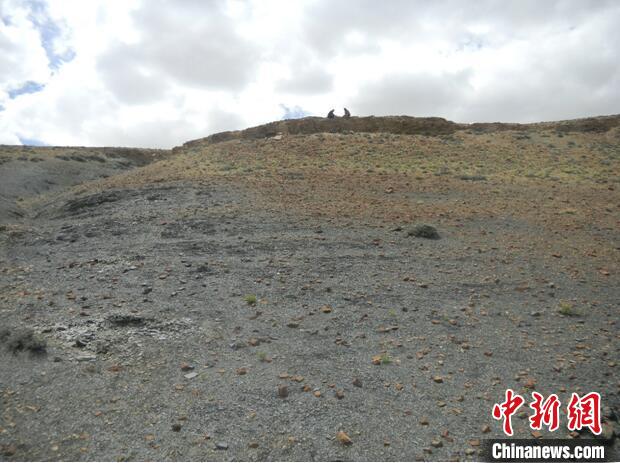 圖為本次研究的藏南曲布剖面二疊紀(jì)末期黑色頁巖?！∧瞎潘?供圖