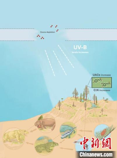 臭氧層破壞引起的紫外線輻射增加對陸地食物鏈的影響?！∧瞎潘?供圖