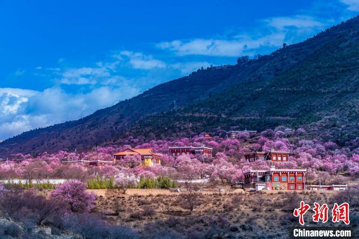 美麗的鄉(xiāng)村畫卷?！『涡秀?攝