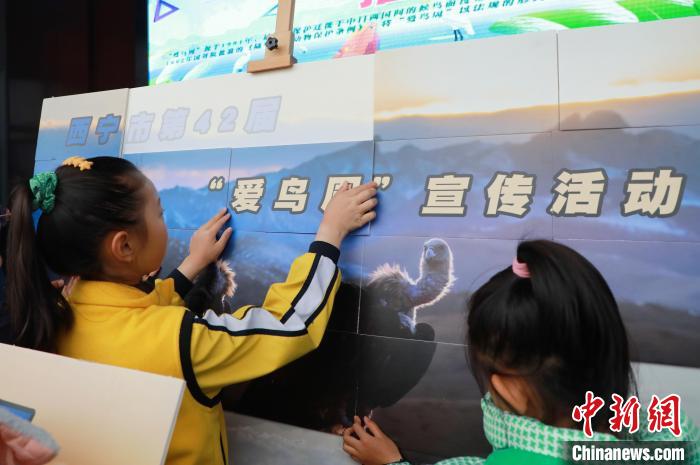 圖為學(xué)生通過拼圖游戲了解鳥類知識?！●R銘言 攝