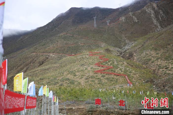 圖為拉薩南北山綠化工程拉薩曲水縣才納村5號片區(qū)?！∝暣_ 攝