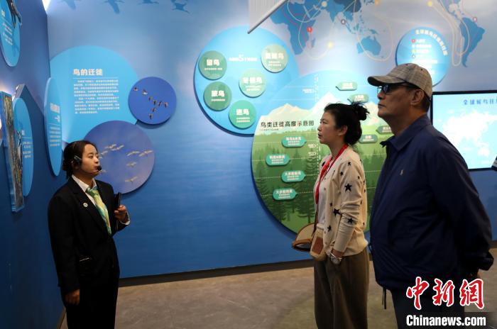 圖為臺商在祁連山國家公園生態(tài)科普館內(nèi)聆聽講解。　薛蒂 攝