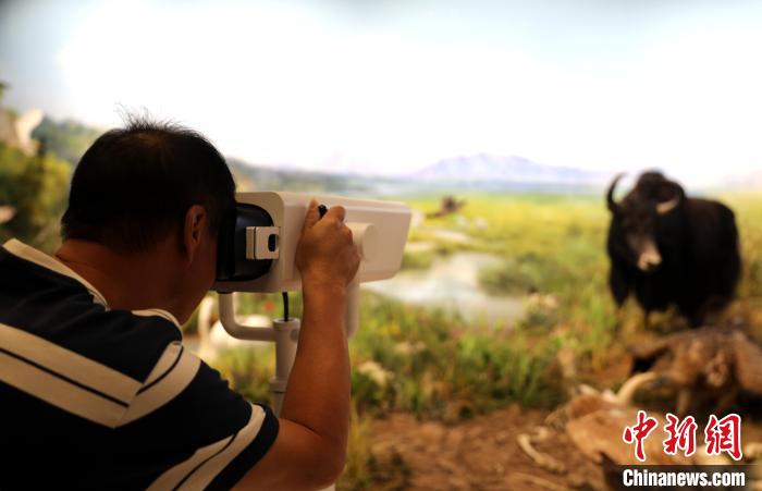 圖為臺商觀看祁連山國家公園生態(tài)科普館內(nèi)生態(tài)場景?！⊙Φ?攝