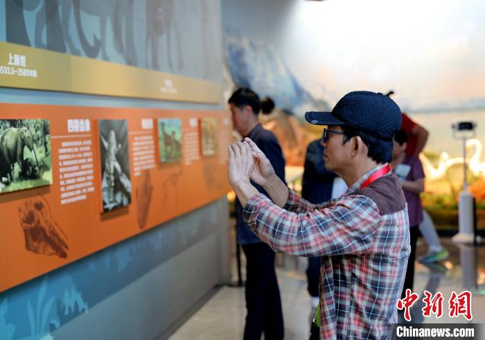圖為臺商在祁連山國家公園生態(tài)科普館觀看墻面藝術(shù)圖文?！⊙Φ?攝