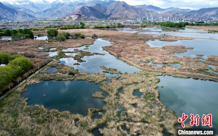 圖為拉薩拉魯濕地。(無人機照片) 李林 攝