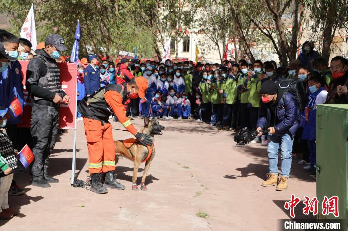 圖為搜救犬服從和箱體搜救演練?！≮w琳 攝