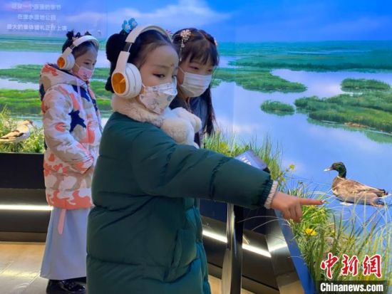 圖為學(xué)生在西寧市第一中學(xué)濕地科普宣教館內(nèi)參觀?！±罱瓕?攝