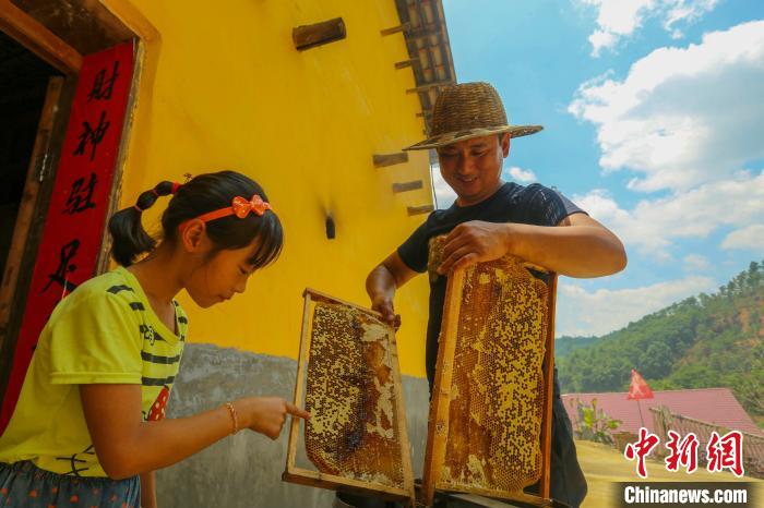 “甜蜜產(chǎn)業(yè)”讓全村致富有奔頭。洲湖鎮(zhèn)供圖