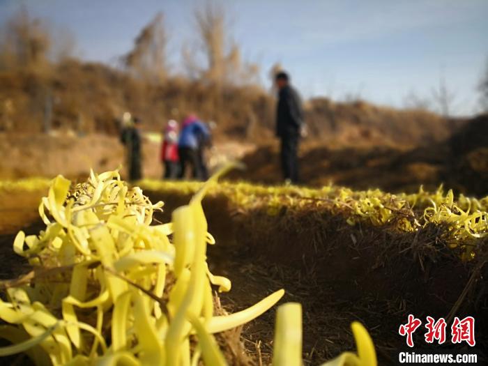 蘭州脫貧攻堅“交答卷”:農(nóng)村居民人均可支配收入翻番