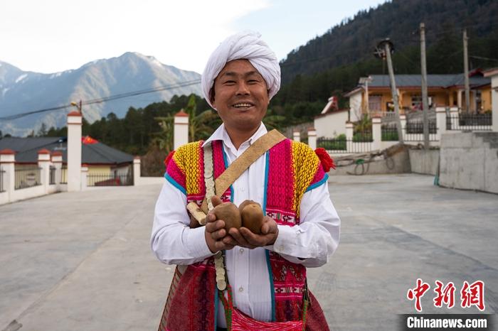 1月29日，京都村委會主任阿胖正在展示該村種植的獼猴桃。<a target='_blank' ><p  align=