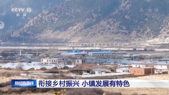 種蘑菇、養(yǎng)駱駝...。。特色產(chǎn)業(yè)助力鄉(xiāng)村振興走新路