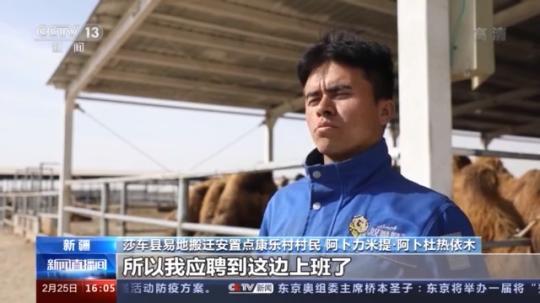 種蘑菇、養(yǎng)駱駝...。。特色產(chǎn)業(yè)助力鄉(xiāng)村振興走新路