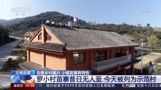 種蘑菇、養(yǎng)駱駝...。。特色產(chǎn)業(yè)助力鄉(xiāng)村振興走新路