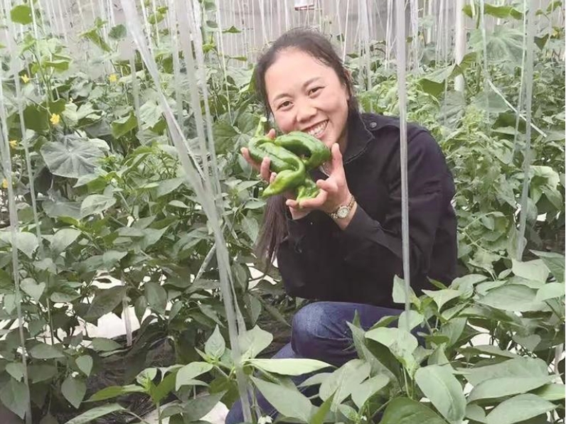 微信截圖_20260602100704.png