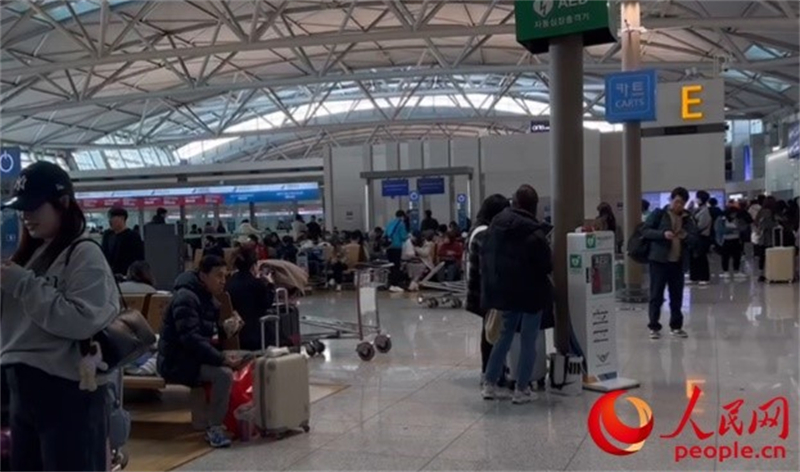 11月29日，繁忙的仁川機(jī)場。人民網(wǎng) 李帆攝