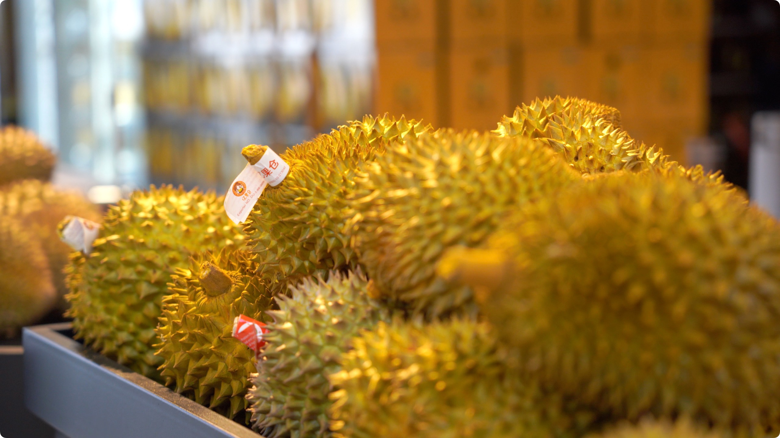 5月初，人民網(wǎng)記者申佳平攝