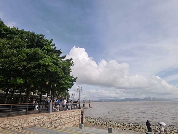 紅樹林灘涂沿線一角。人民網(wǎng)記者 張素玲攝