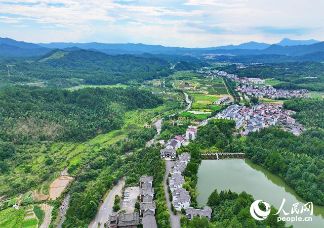 資溪縣森林資源豐富，森林覆蓋率達87.7%，有林地資源168萬畝。人民網(wǎng) 朱海鵬攝